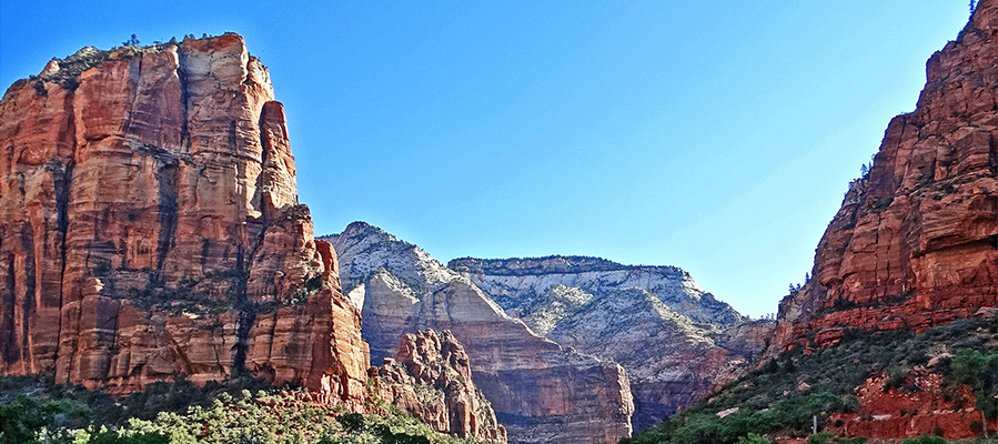 Rock formations in Zion National Park